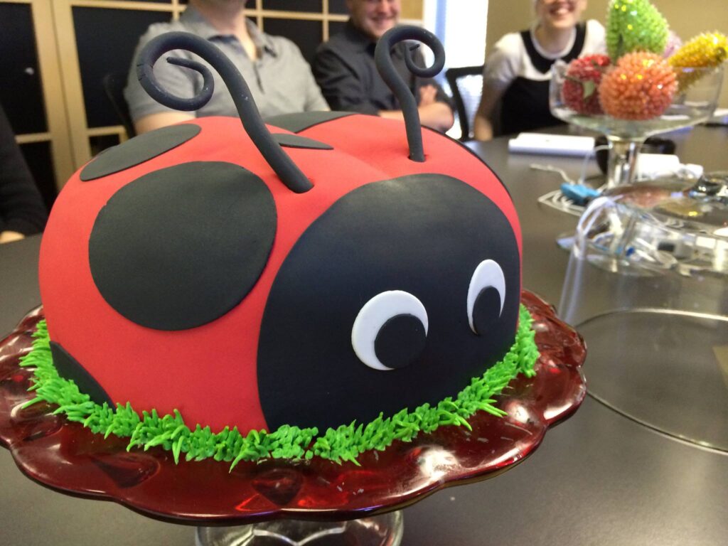 Ladybug birthday cake by Erin Kauffman
