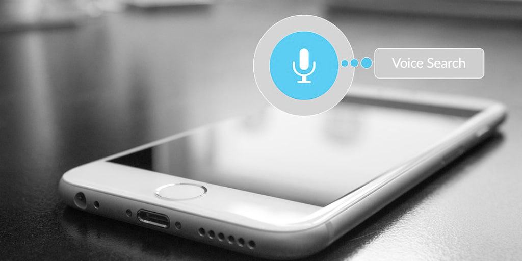 voice-search-queries